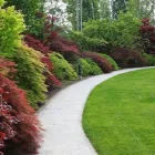 Immagine 8 azienda VIVAI PIANTE FORLIN Servizi professionali in Saccolongo PD