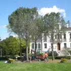 Immagine 1 azienda VIVAI TOPPAN Vivaio in Casier TV