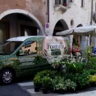 Immagine 2 azienda VIVAI TOPPAN Vivaio in Casier TV