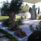Immagine 3 azienda VIVAI TOPPAN Vivaio in Casier TV
