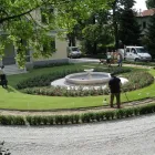 Immagine 5 azienda VIVAI TOPPAN Vivaio in Casier TV