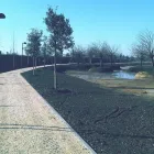 Immagine 7 azienda VIVAI TOPPAN Vivaio in Casier TV