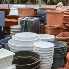 Immagine 4 azienda VIVAIO AVAGLIANO PIANTE Vivaio in Salerno