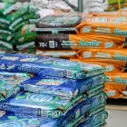 Immagine 5 azienda VIVAIO AVAGLIANO PIANTE Vivaio in Salerno
