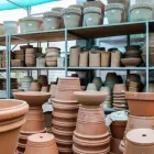 Immagine 8 azienda VIVAIO AVAGLIANO PIANTE Vivaio in Salerno