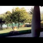 Immagine 1 azienda VIVAIO BENEDETTI FRANCO Vivaio in Sassuolo MO