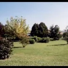 Immagine 2 azienda VIVAIO BENEDETTI FRANCO Vivaio in Sassuolo MO