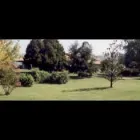 Immagine 4 azienda VIVAIO BENEDETTI FRANCO Vivaio in Sassuolo MO