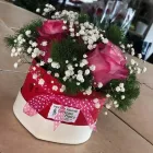 Immagine 2 azienda VIVAIO CALATOZZO FRANCO Vivaio in Messina