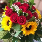 Immagine 3 azienda VIVAIO CALATOZZO FRANCO Vivaio in Messina