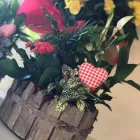 Immagine 7 azienda VIVAIO CALATOZZO FRANCO Vivaio in Messina