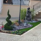 Immagine 1 azienda VIVAIO ELIOTROPIO Vivaio in Guidonia Montecelio RM