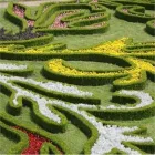 Immagine 5 azienda VIVAIO IL CORBEZZOLO Vivaio in Rivazzurra RN