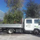 Immagine 6 azienda VIVAIO IL CORBEZZOLO Vivaio in Rivazzurra RN