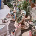 Immagine 3 azienda VIVAIO LA ROSA Vivaio in Fabriano AN