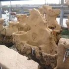 Immagine 5 azienda VIVAIO LA ROSA Vivaio in Fabriano AN