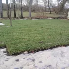 Immagine 7 azienda VIVAIO LA ROSA Vivaio in Fabriano AN