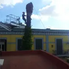 Immagine 1 azienda VIVI IL VERDE Vivaio in Napoli