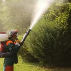 Immagine 4 azienda VIVI IL VERDE Vivaio in Napoli