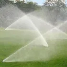 Immagine 6 azienda VIVI IL VERDE Vivaio in Napoli