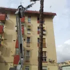 Immagine 8 azienda VIVI IL VERDE Vivaio in Napoli