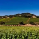 Immagine 2 azienda VULCANA SRL Servizi professionali in Ravenna