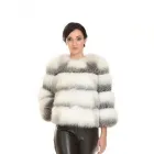 Immagine 4 azienda WAINER MODA WTR ITALIA Shopping e acquisti in Saccolongo PD