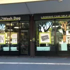 Immagine 7 azienda WASH DOG RICCIONE Shopping e acquisti in Riccione RN