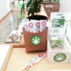 Immagine 3 azienda WEED CAN ROMA Tabaccheria in Roma