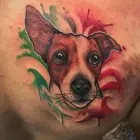 Immagine 4 azienda WILD STYLE TATTOO Tatuaggio e piercing in Latina