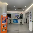 Immagine 1 azienda WIND3 ROCCAFORTE Shopping e acquisti in Palermo