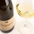 Immagine 78 azienda WINE LOVERS Shopping e acquisti in Roma