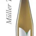 Immagine 82 azienda WINE LOVERS Shopping e acquisti in Roma