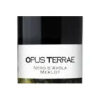 Immagine 88 azienda WINE LOVERS Shopping e acquisti in Roma