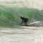 Immagine 1 azienda X SURFBOARDS Shopping e acquisti in Fiumicino RM