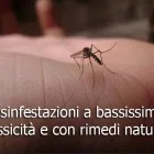 Immagine 2 azienda XPERT SNC DERATIZZAZIONE Immobiliare e ristrutturazioni in San Giuliano Terme PI