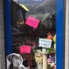 Immagine 2 azienda ZAMPE & ZAMPE Servizi professionali in Nichelino TO