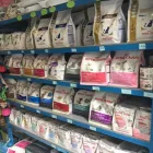 Immagine 6 azienda ZAMPETTANDO SAS Shopping e acquisti in Torino