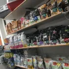 Immagine 8 azienda ZOO MANIA Servizi professionali in Ravenna