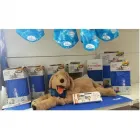 Immagine 1 azienda ZOO PARADISE Servizi professionali in Rimini