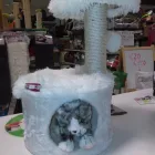 Immagine 3 azienda ZOO PARADISE Servizi professionali in Rimini