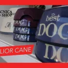 Immagine 4 azienda ZOOTECNICA SHOP Shopping e acquisti in Savignano Sul Rubicone FC