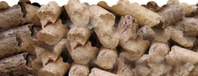 Immagine 3 azienda 2A VENDITA DIRETTA PELLET Shopping e acquisti in Vicopisano PI