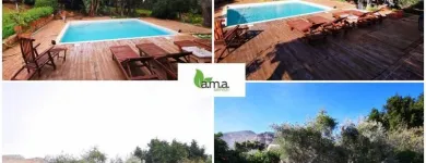 Immagine 1 azienda A.M.A. SERVIZI DI GIARDINAGGIO Shopping e acquisti in Palermo