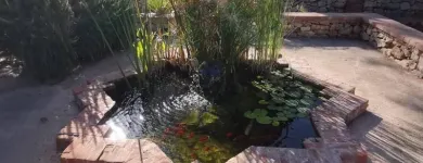 Immagine 3 azienda A.M.A. SERVIZI DI GIARDINAGGIO Shopping e acquisti in Palermo