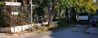Immagine 4 azienda A.M.A. SERVIZI DI GIARDINAGGIO Shopping e acquisti in Palermo