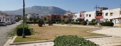 Immagine 5 azienda A.M.A. SERVIZI DI GIARDINAGGIO Shopping e acquisti in Palermo