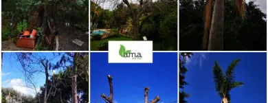Immagine 6 azienda A.M.A. SERVIZI DI GIARDINAGGIO Shopping e acquisti in Palermo