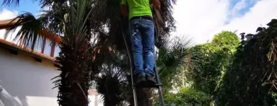 Immagine 7 azienda A.M.A. SERVIZI DI GIARDINAGGIO Shopping e acquisti in Palermo