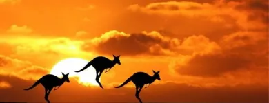 Immagine 3 azienda AGENZIA AVENDRACE VIAGGI Viaggi e turismo in Cagliari